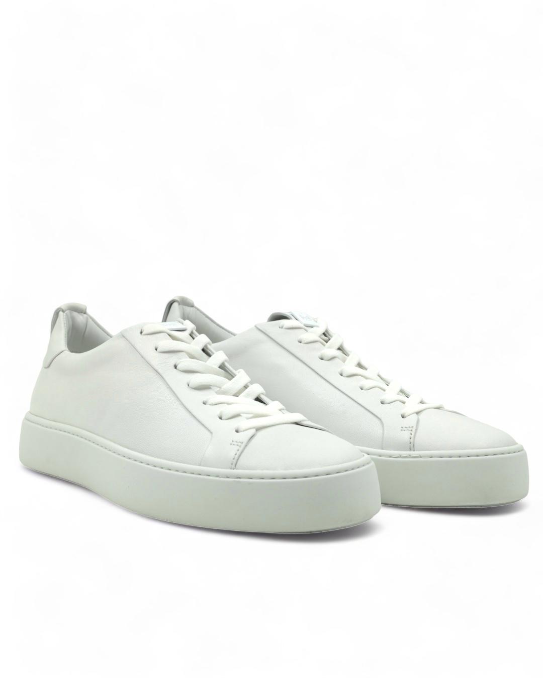 Кеды Hogl Shoe Fashion