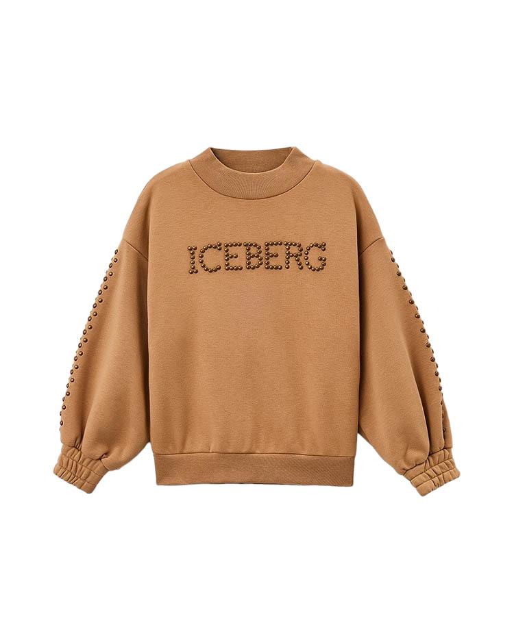 Толстовка Iceberg