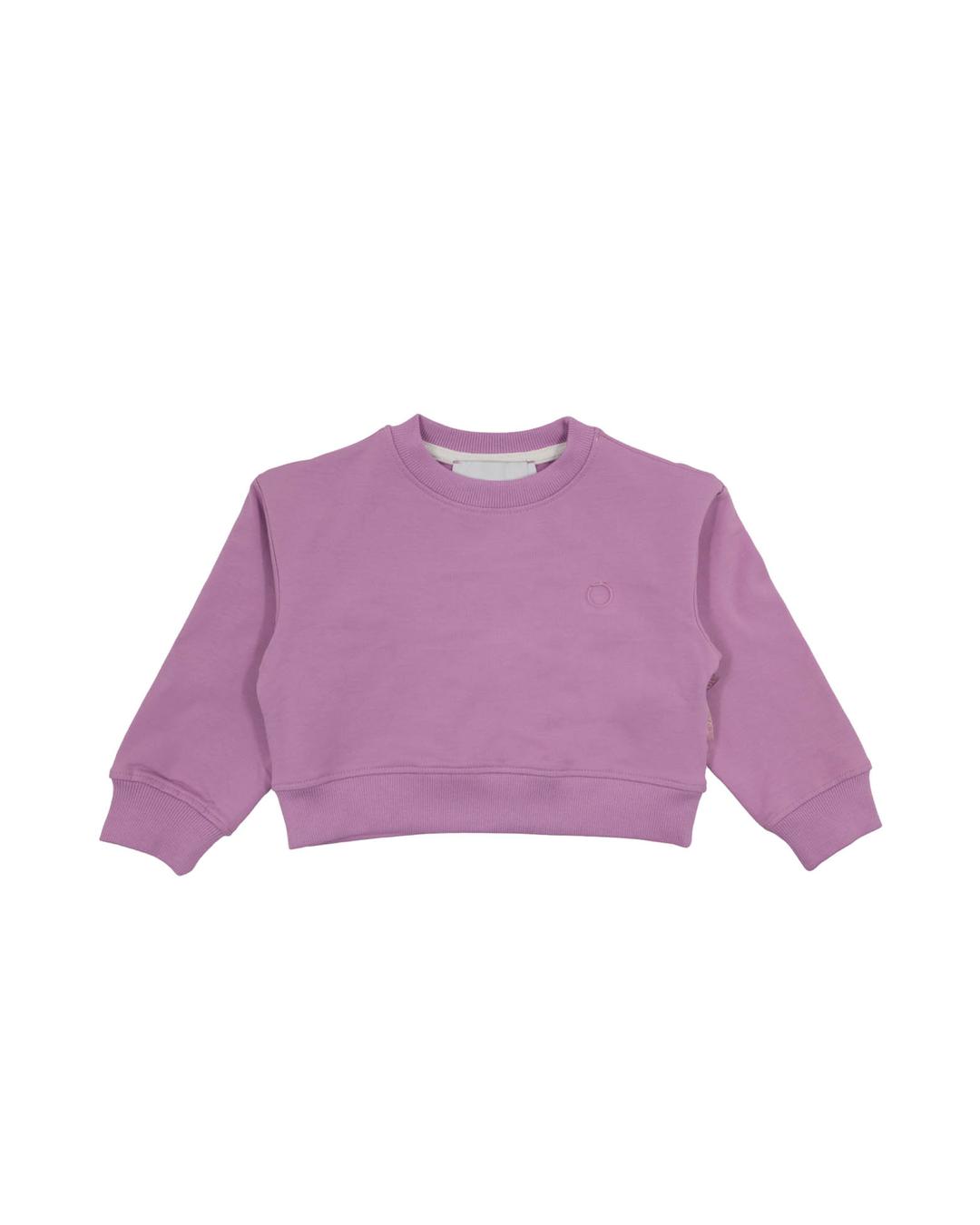 Толстовка Trussardi