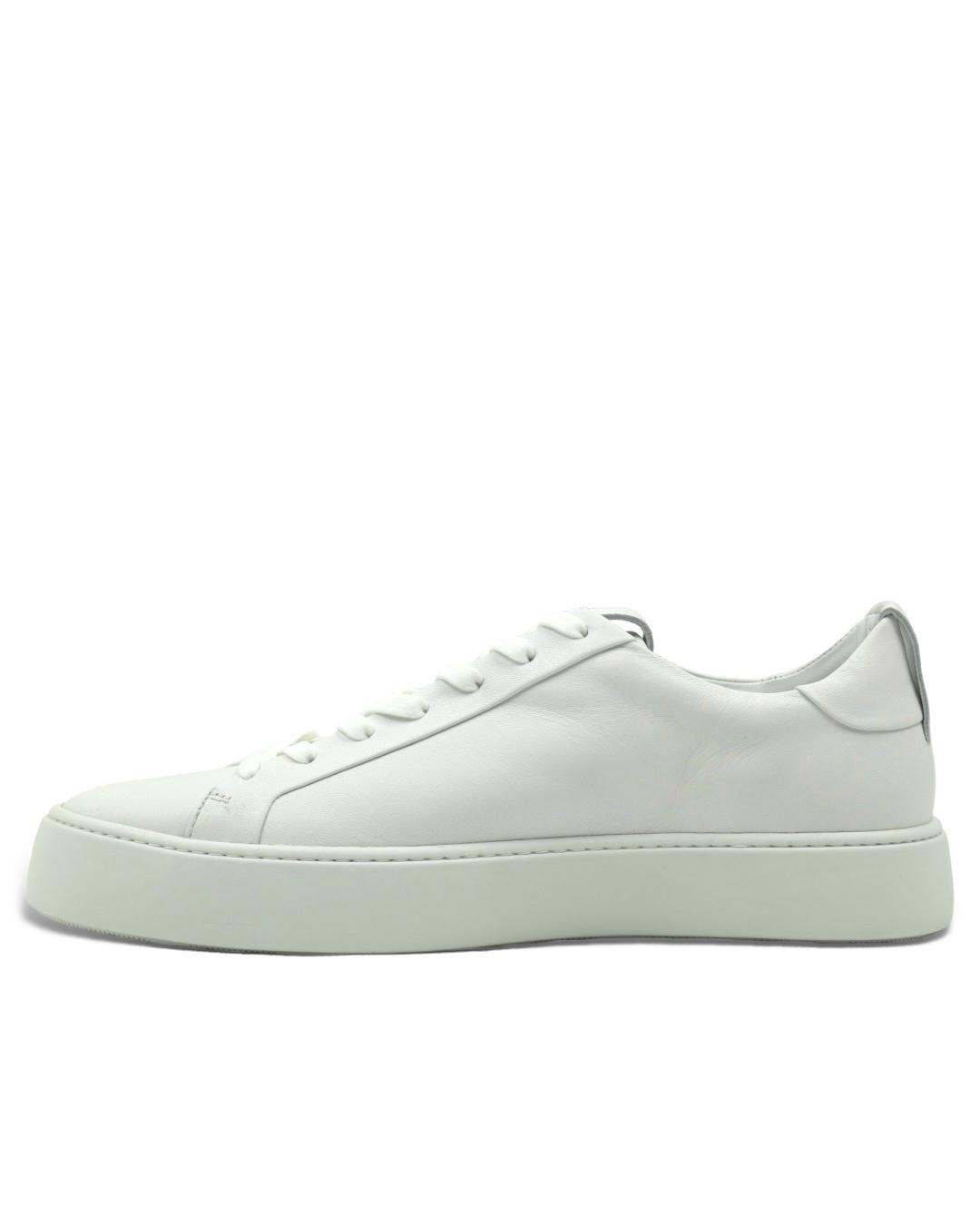 Кеды Hogl Shoe Fashion