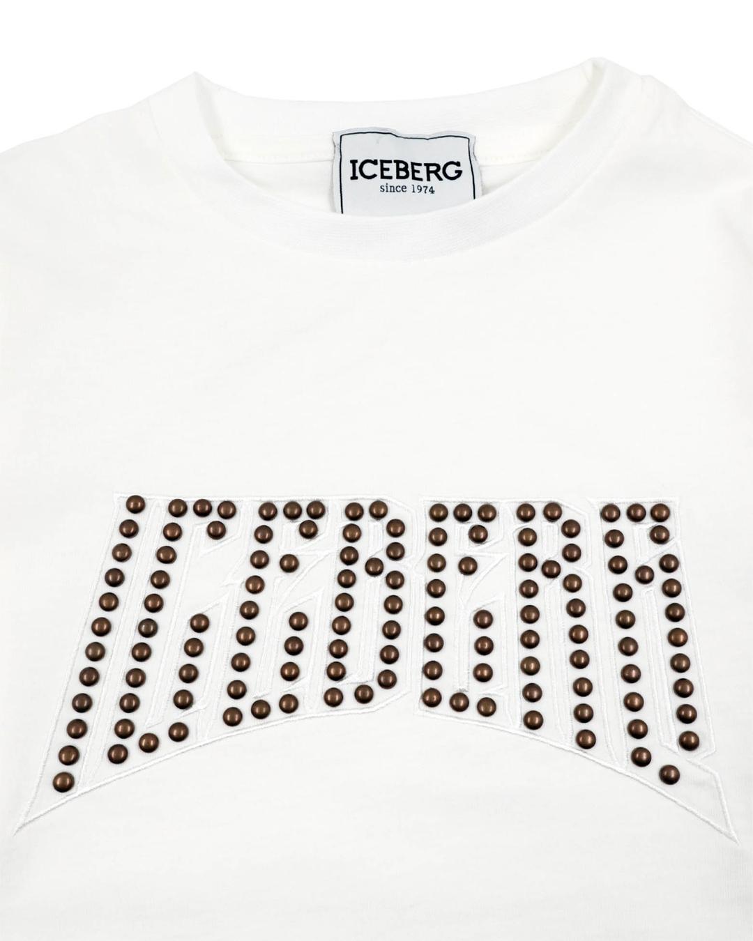 Лонгслив Iceberg