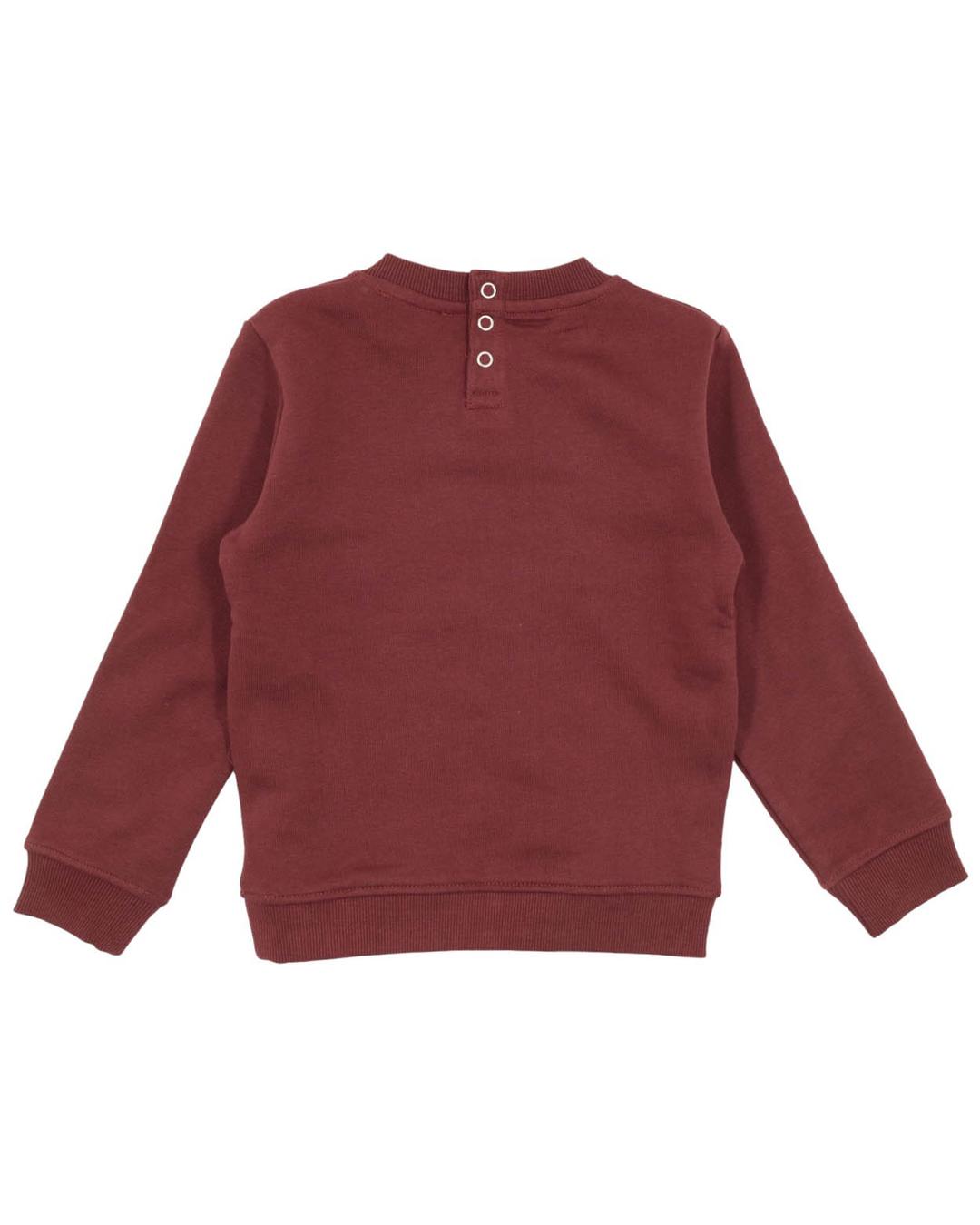 Толстовка Trussardi